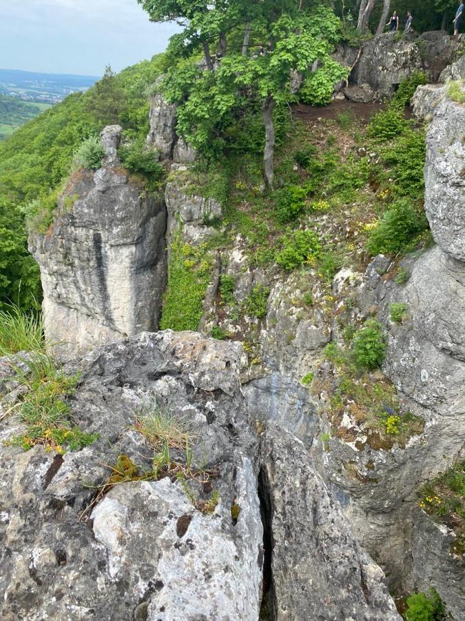 Laendliche Fewo Rose, 4Km Zum Stausee 哈普格 外观 照片